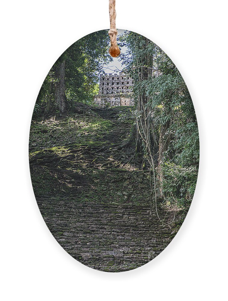 Chiapas Ornament featuring the photograph The Steps I Did Not Climb by Kathy McClure