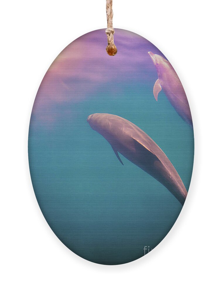 Dolphin Ornament featuring the photograph The World is Beautiful by Becqi Sherman