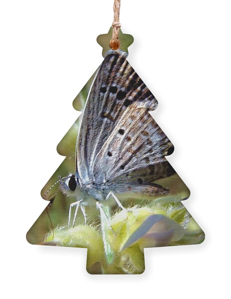 Butterfly Ornament featuring the mixed media Tiny Silver Butterfly on Fuzzy Wildflower by Shelli Fitzpatrick