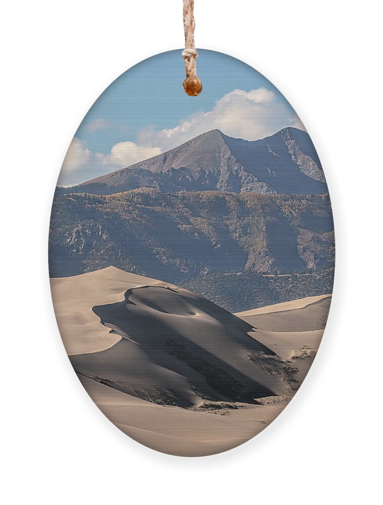 Dunes Ornament featuring the photograph Transitions by Jim Garrison