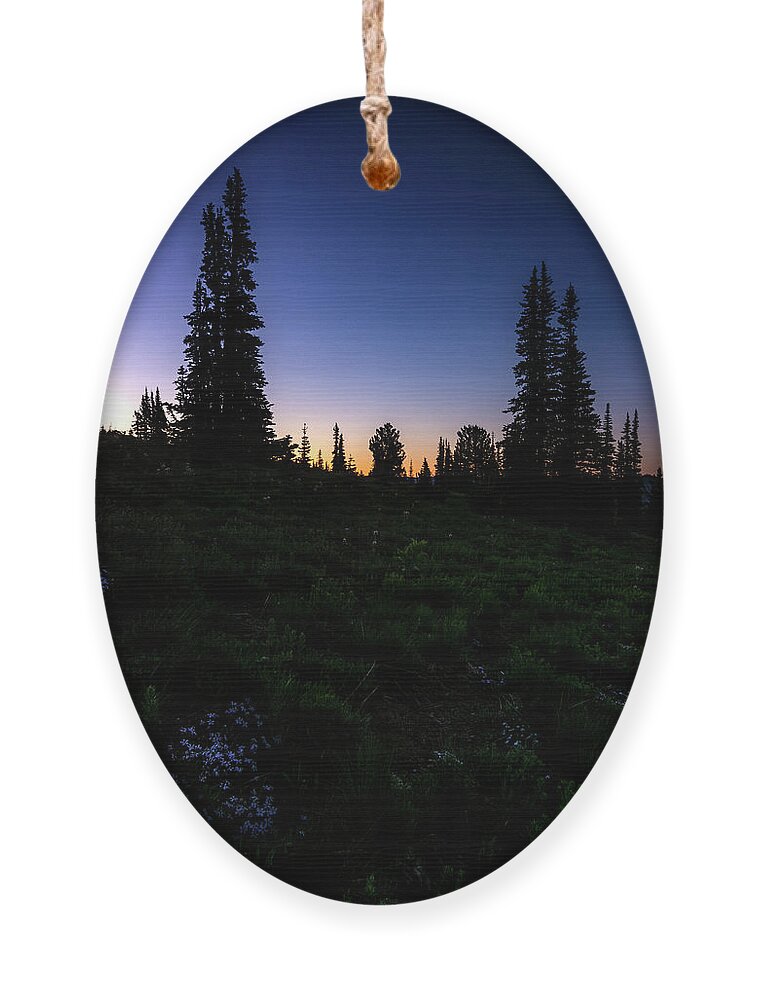 Tree Ornament featuring the photograph Tree Silhouette Sunrise 2 by Pelo Blanco Photo