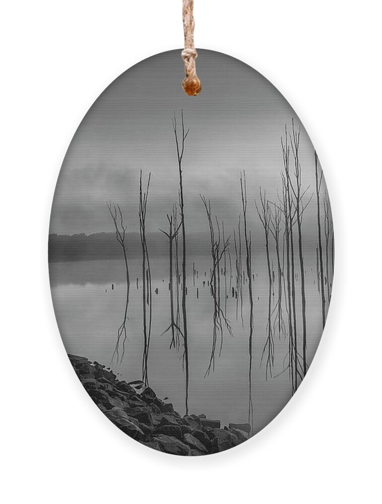 Manasquan Ornament featuring the photograph Trees Emerge At Dawn BW by Susan Candelario