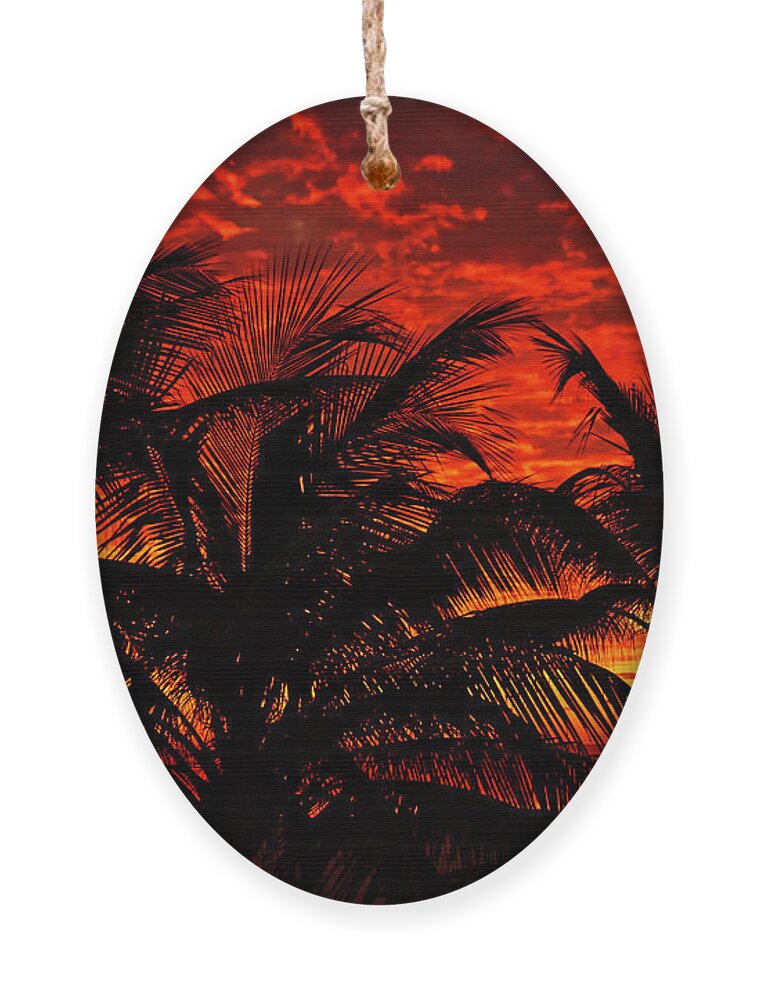 Lighthouse Cove Resort Ornament featuring the photograph Tropical Sunrise by Meta Gatschenberger