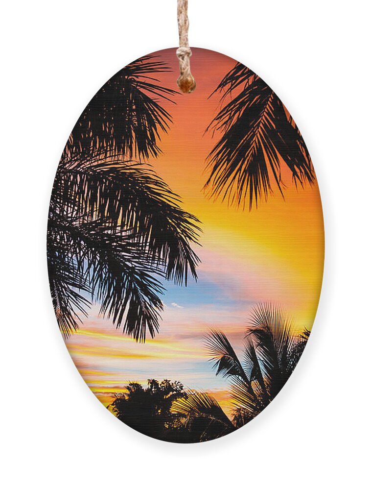 Beauty Ornament featuring the photograph Tropical Trees By The Beach In Central by Mervas