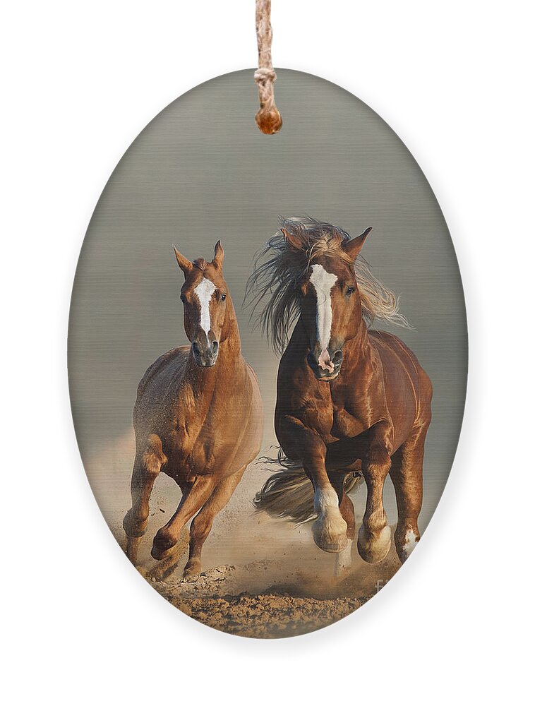 Prairies Ornament featuring the photograph Two Wild Chestnut Horses Running by Mariait