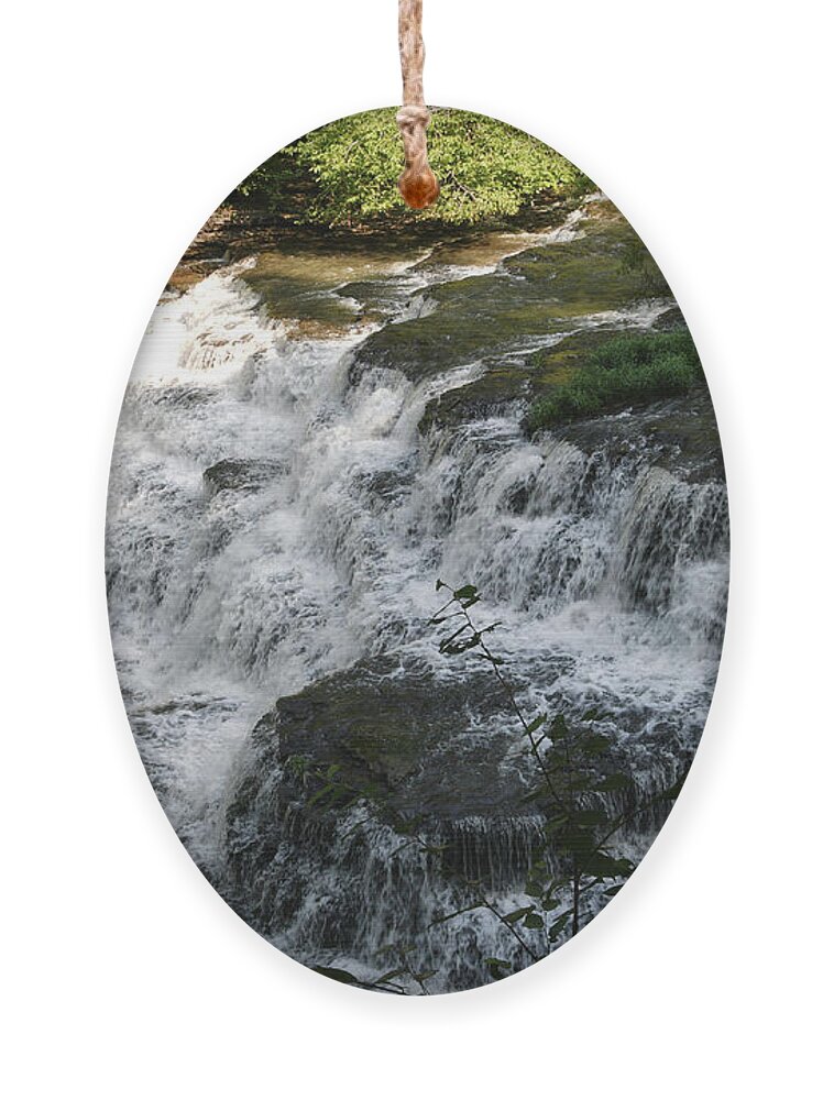 Burgess Falls Ornament featuring the photograph Upper Falls 1 by Phil Perkins