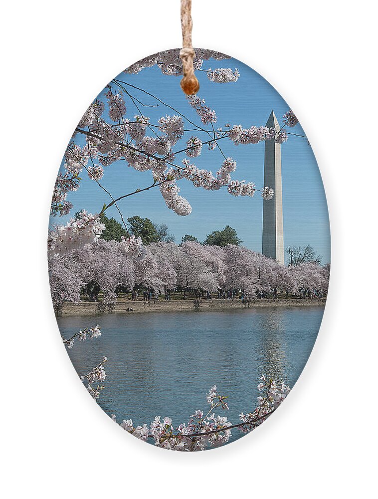 Scenic Ornament featuring the photograph Washington Monument from the Tidal Basin DS0063 by Gerry Gantt