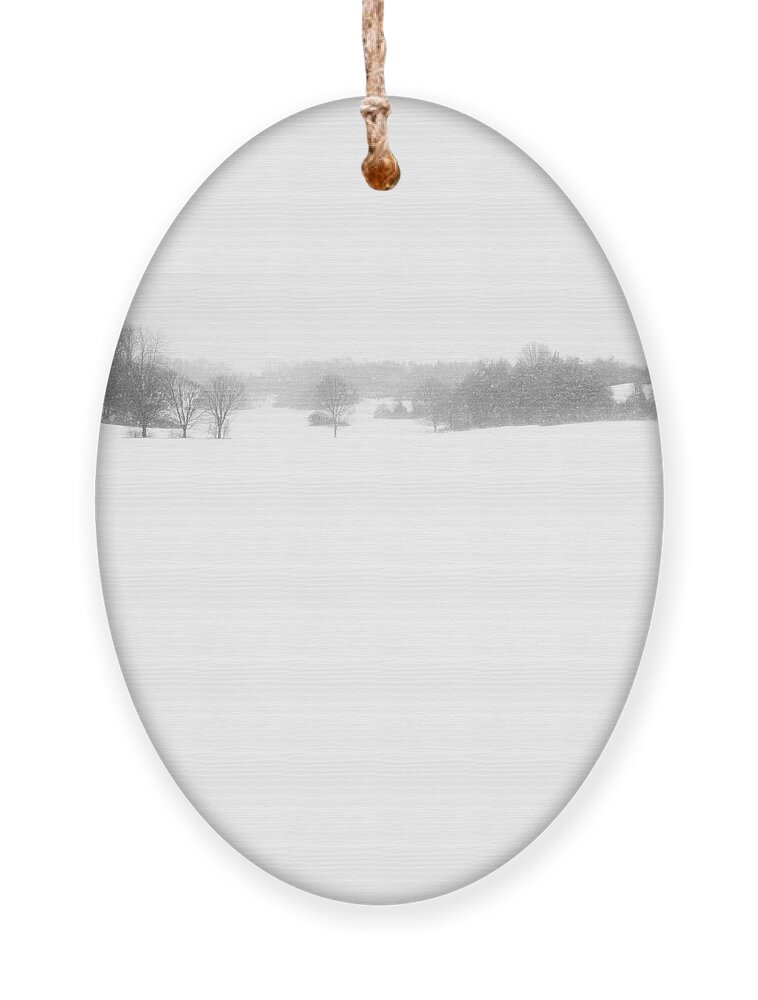 Landscape Ornament featuring the photograph White Blanket by Linda Bonaccorsi