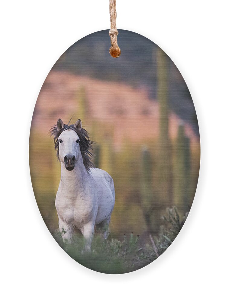 Stallion Ornament featuring the photograph White Stallion by Shannon Hastings