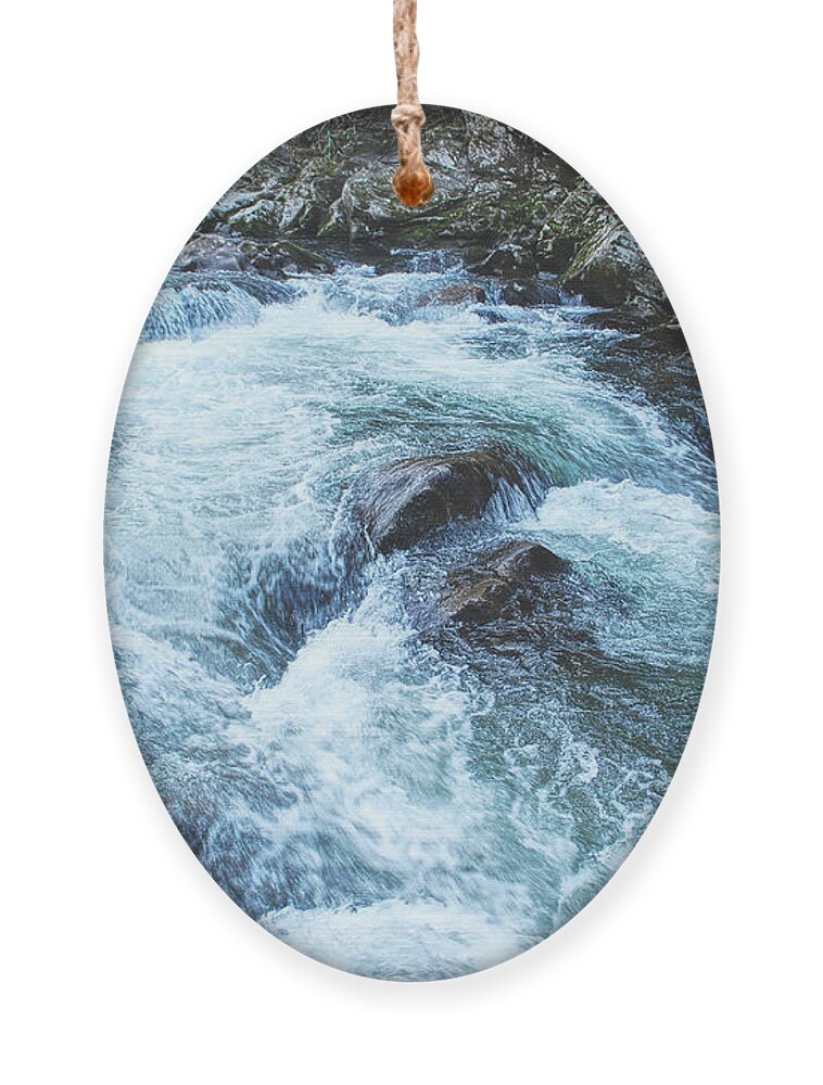 Photography Ornament featuring the photograph White Water Rapids by Phil Perkins