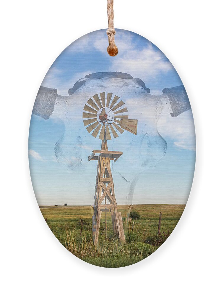 Kansas Ornament featuring the photograph Windmill and Bison 003 by Rob Graham
