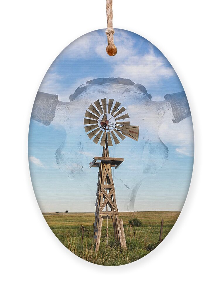 Kansas Ornament featuring the photograph Windmill and Bison 004 by Rob Graham