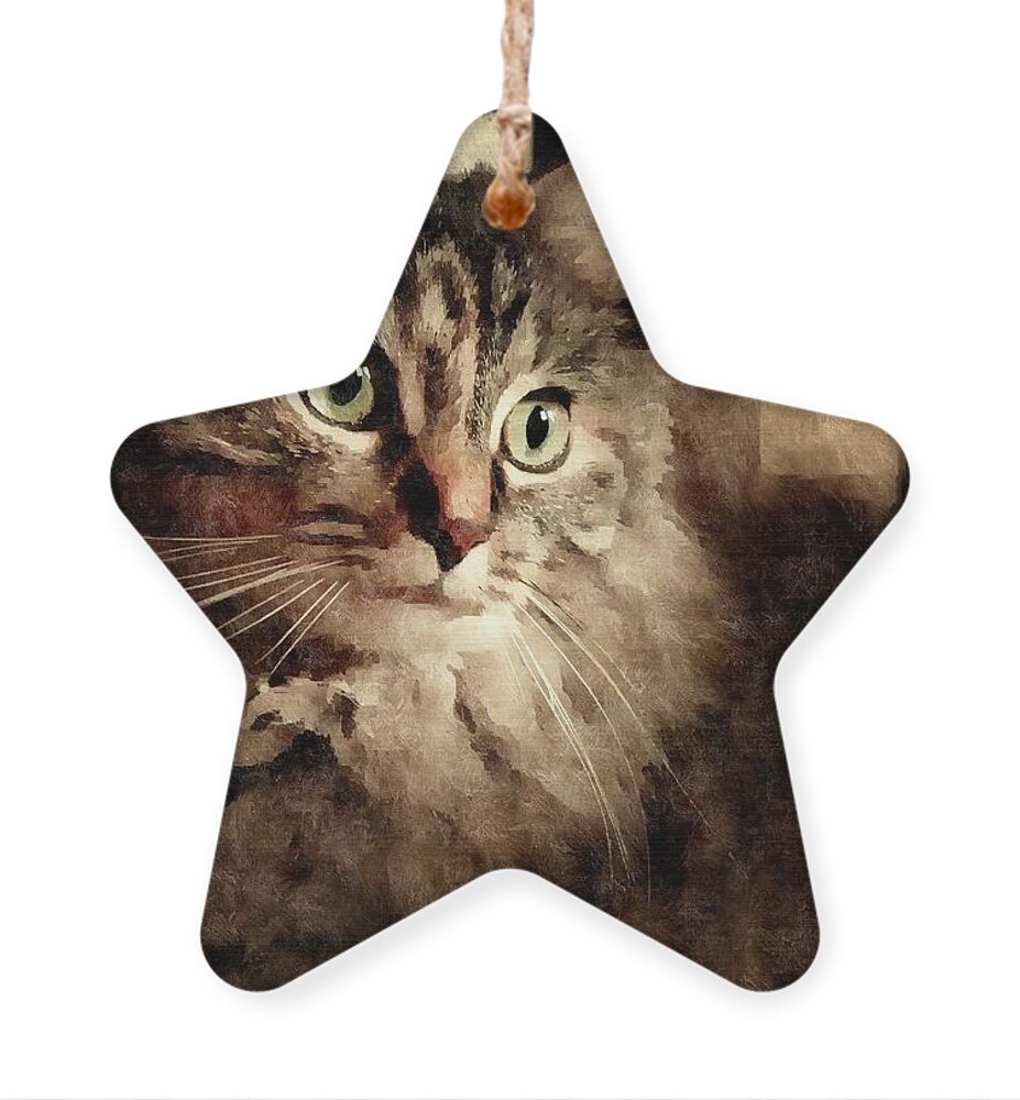 Cat Ornament featuring the photograph Winsome Woeful and Totally Tatum by Lori Lafargue
