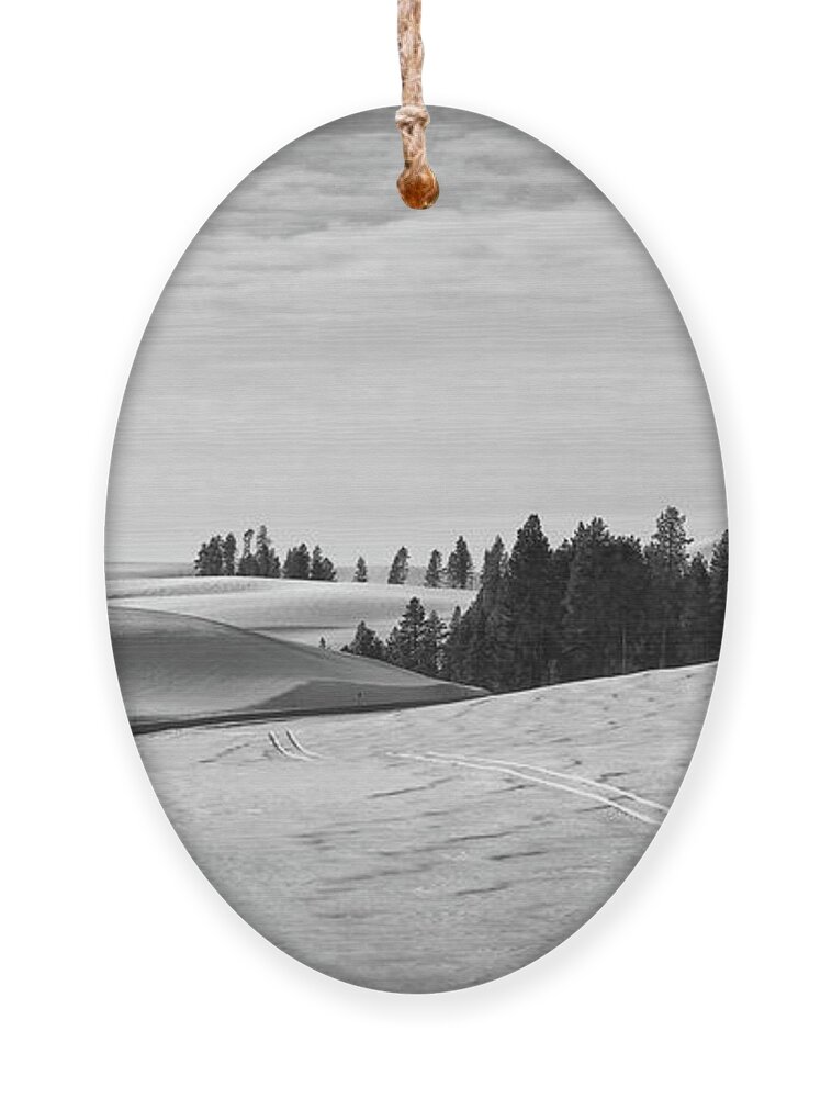 Winter Ornament featuring the photograph Winter Country Road 2 BW by Tatiana Travelways