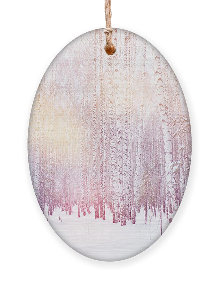 Magic Ornament featuring the photograph Winter Magic Birch Grove by Ataly