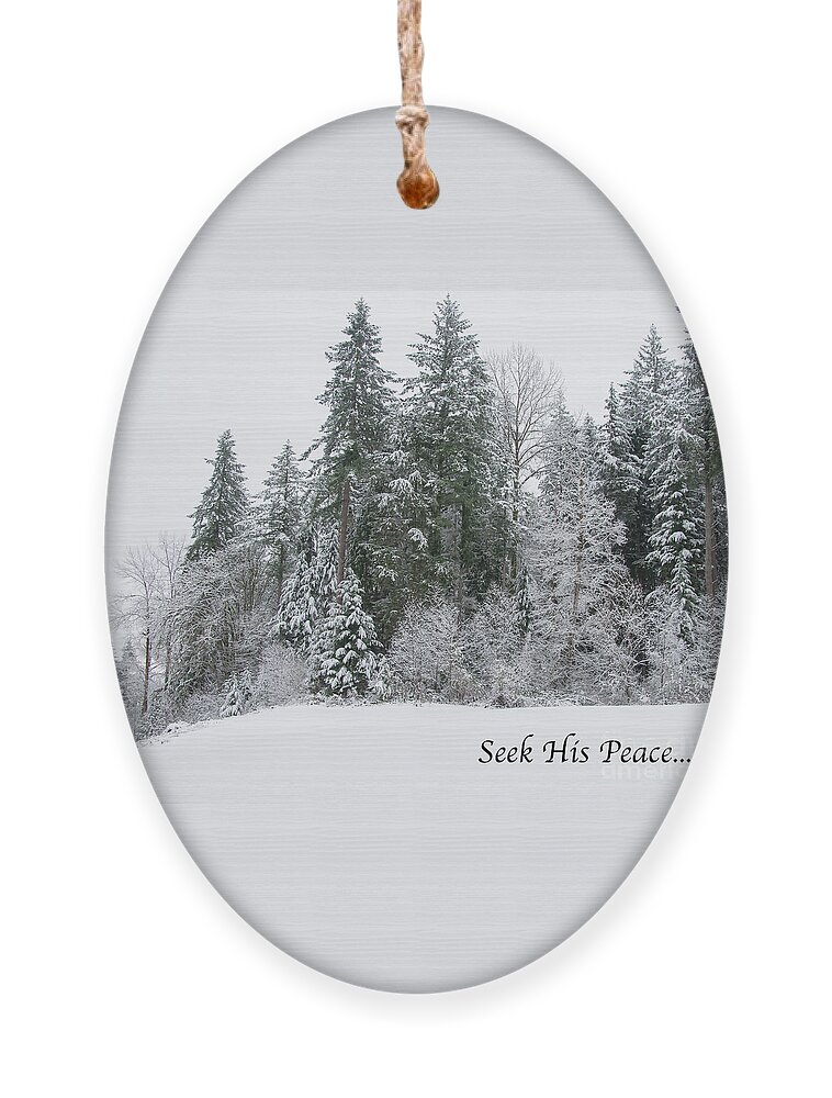 Religious Ornament featuring the digital art Winter Peace by Kirt Tisdale