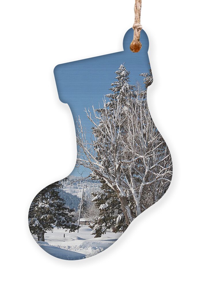 Winter Ornament featuring the photograph Winter scene in Spencer Idaho by Tatiana Travelways