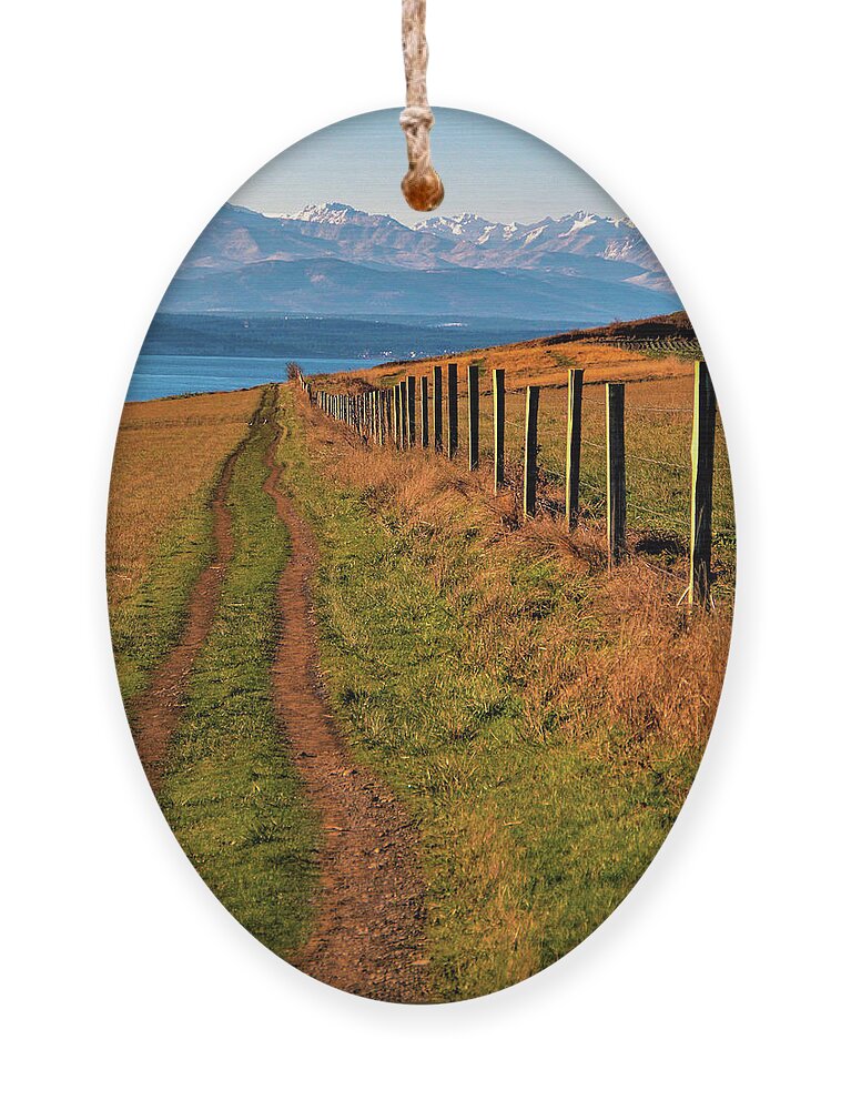 Trail Ornament featuring the photograph You can see forever by Leslie Struxness