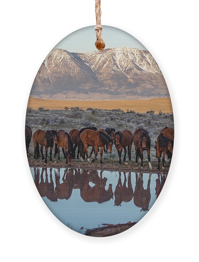 Sized For 60x48 Ornament featuring the photograph _z3a9746 by John T Humphrey