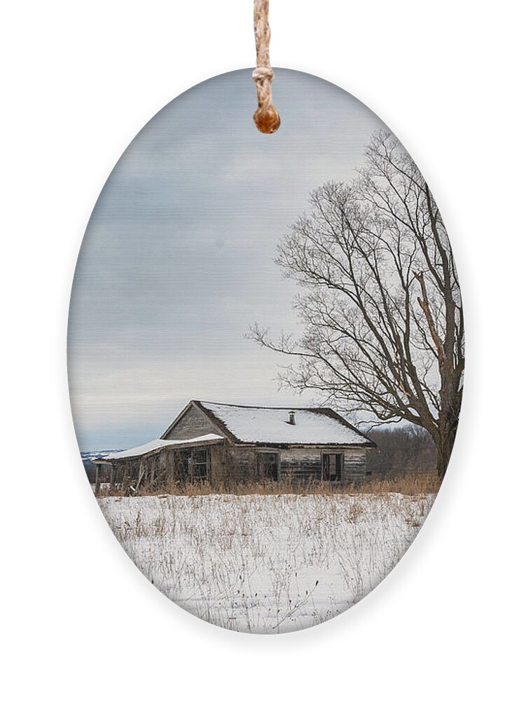 Landscape Ornament featuring the photograph Abandoned Homestead #1 by Dee Potter