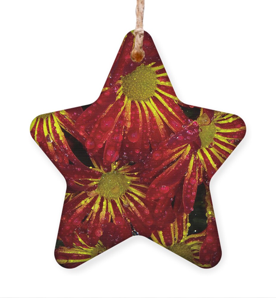 Rain Ornament featuring the photograph After the Rain #1 by Judy Hall-Folde
