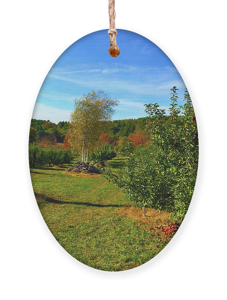 Autumn Ornament featuring the photograph Autumn New England by Geoff Jewett