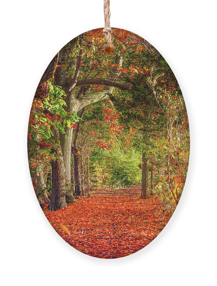 Autumn Ornament featuring the photograph Autumn Path #1 by Sean Mills