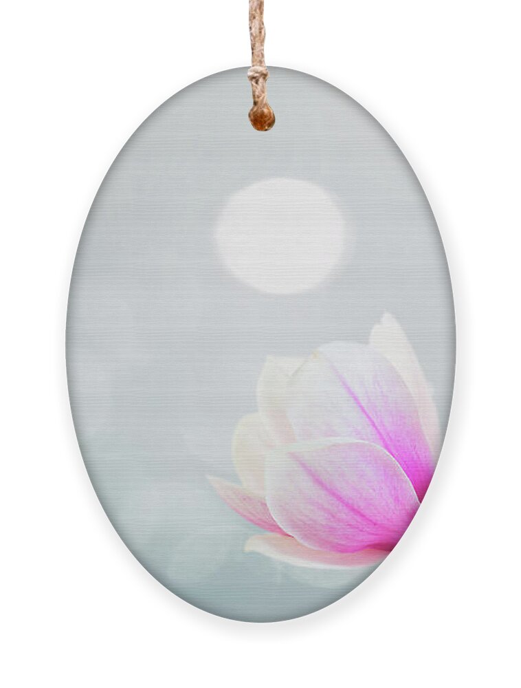Magnolia Ornament featuring the photograph Blossoming Pink Magnolia Flowers by Anastasy Yarmolovich