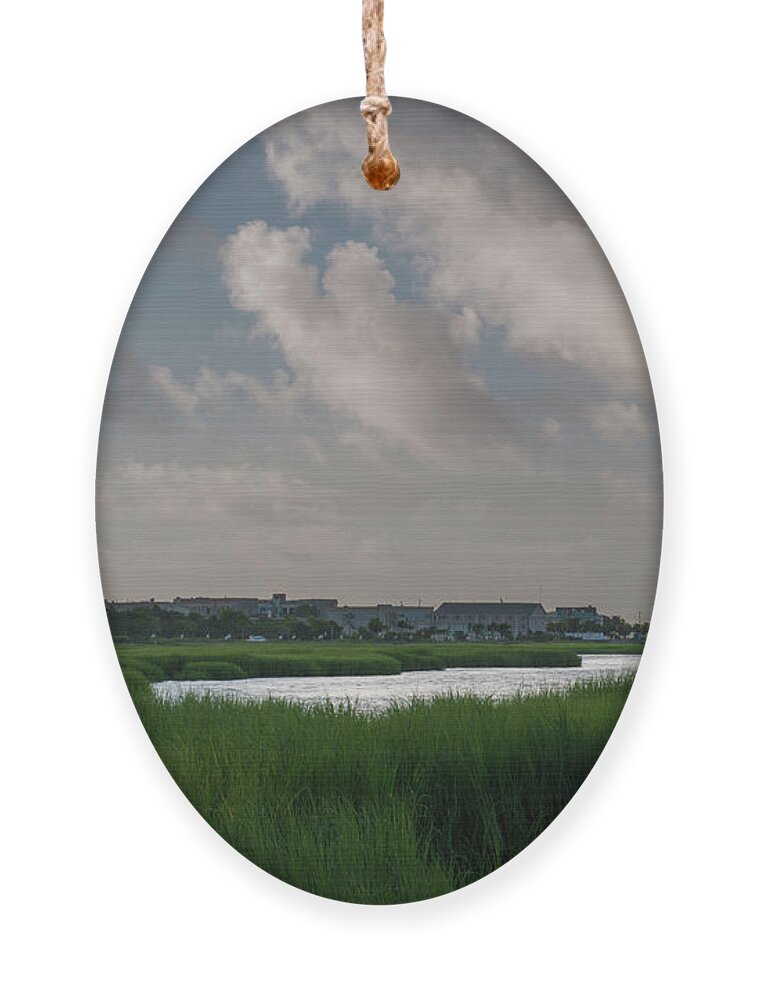 Charleston Ornament featuring the photograph Charleston Summer Grass #1 by Dale Powell