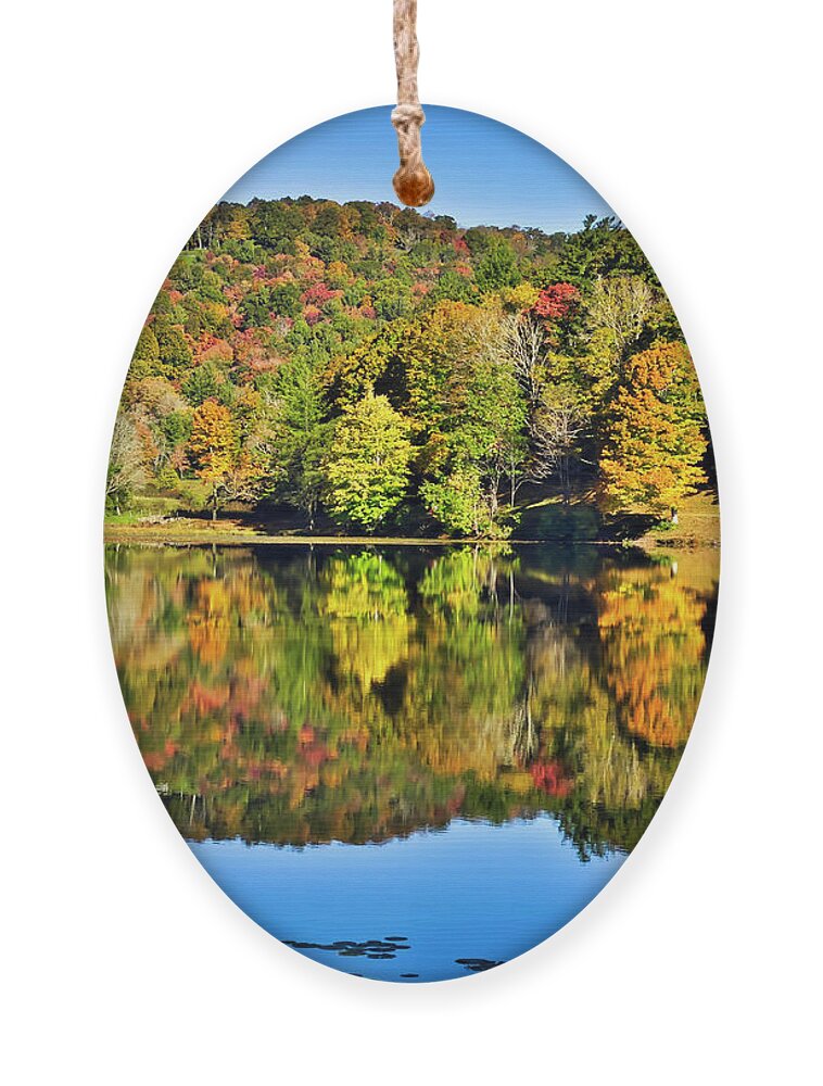 Moses Cone Ornament featuring the photograph Cone Manor Reflections #1 by Meta Gatschenberger
