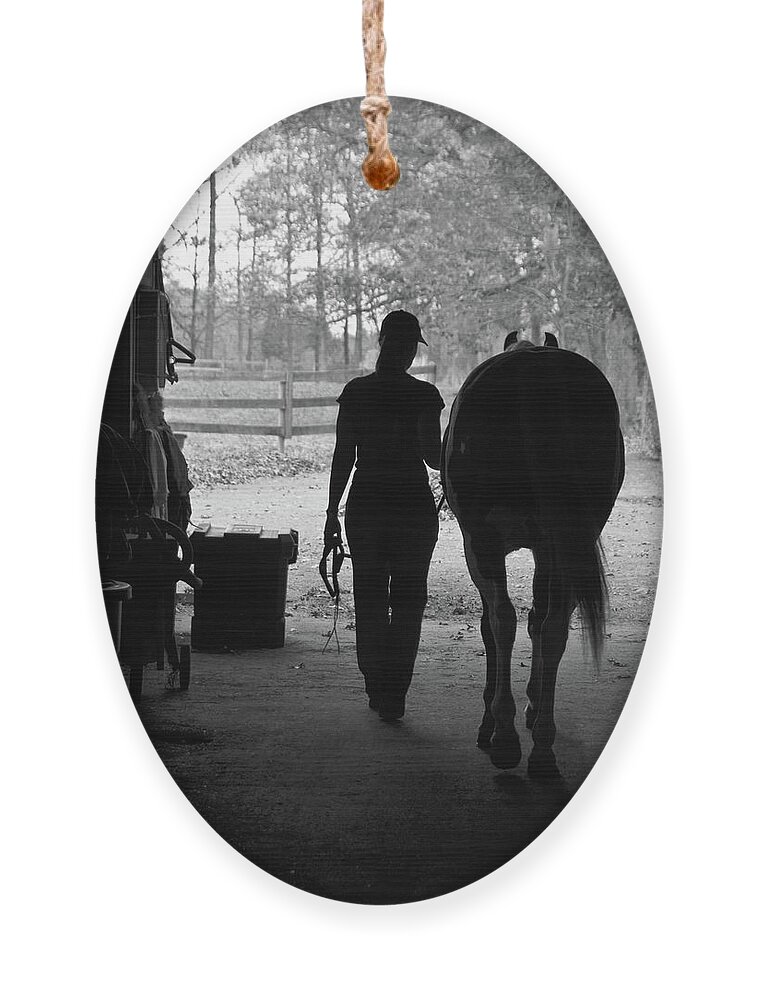 Horses Ornament featuring the photograph Day's End by Minnie Gallman
