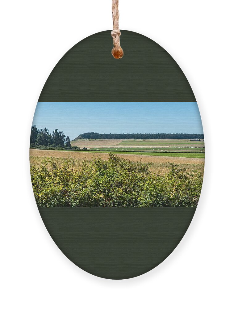 Ebey's Prairie Ornament featuring the photograph Ebey's Prairie #1 by Tom Cochran