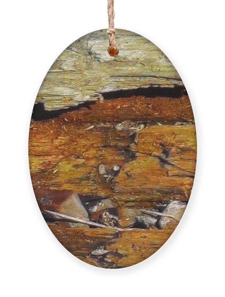 Tree Ornament featuring the mixed media Fallen Tree by Christopher Reed
