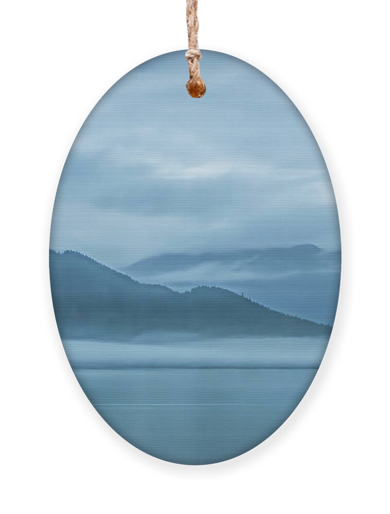 Alaska Ornament featuring the photograph Foggy Morning in Juneau by Marcy Wielfaert