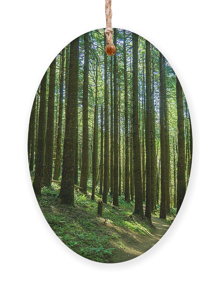 Columbia River Gorge Ornament featuring the photograph Go Take A Hike by Leslie Struxness