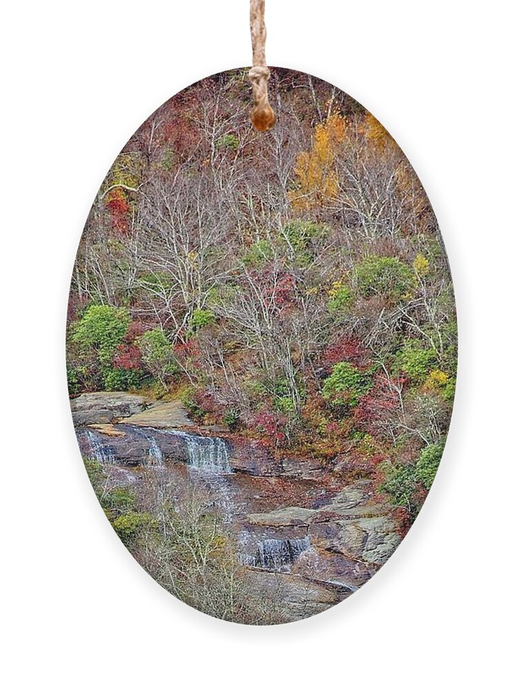 Autumn Ornament featuring the photograph Graveyard Fields Lower Falls #1 by Allen Nice-Webb