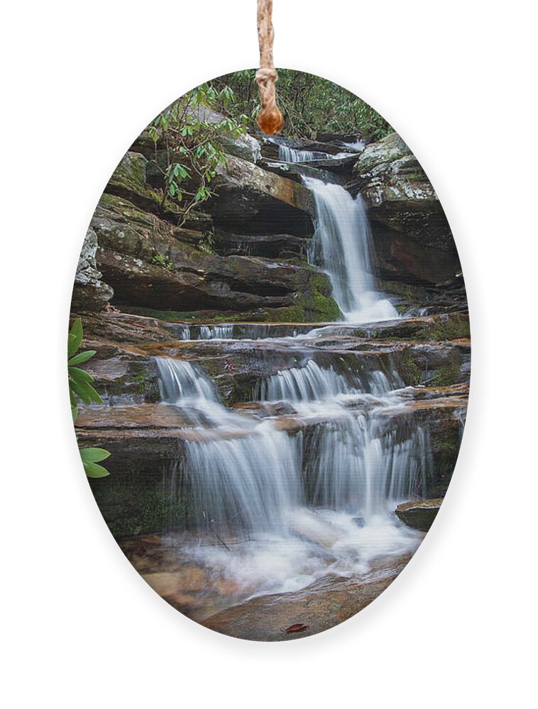 Hidden Falls. Hanging Rock State Park Ornament featuring the photograph Hidden Falls by Chris Berrier
