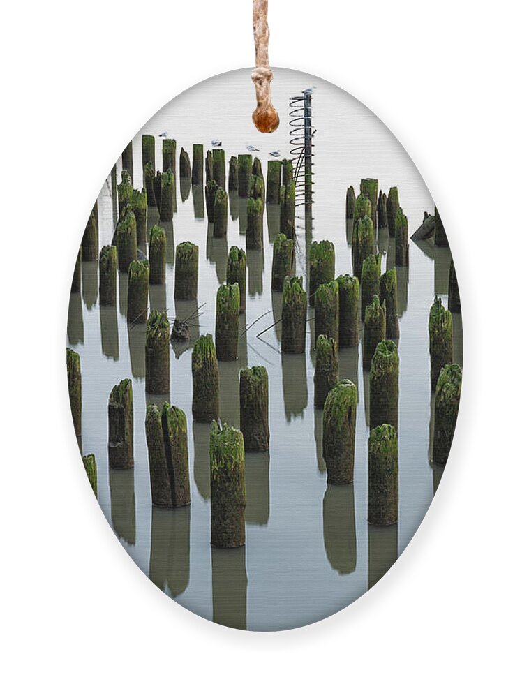 Hudson River Ornament featuring the photograph Low tide, at dusk by Kevin Suttlehan