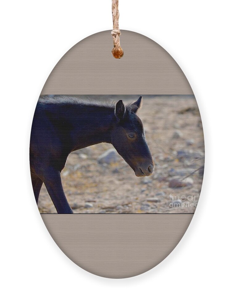 Salt River Wild Horses Ornament featuring the digital art Moonshadow #1 by Tammy Keyes