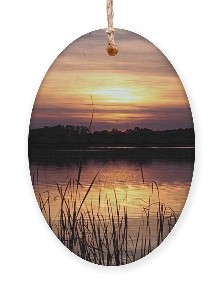 Nature Ornament featuring the photograph November Sunset #1 by Mary Walchuck