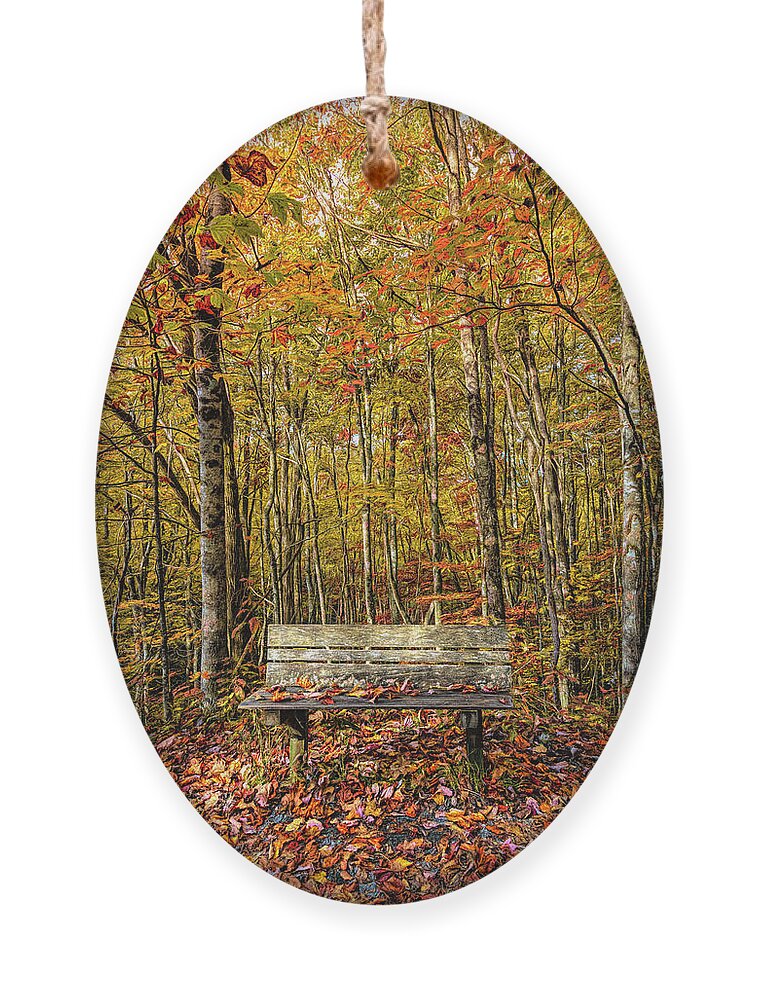 Fall Ornament featuring the photograph Old Bench in the Fallen Leaves Creeper Trail in Autumn Fall Colo #1 by Debra and Dave Vanderlaan