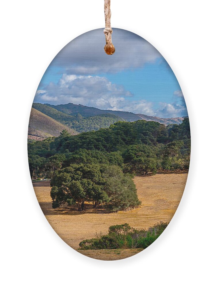 San Carlos Ranch Ornament featuring the photograph San Carlos Ranch by Derek Dean