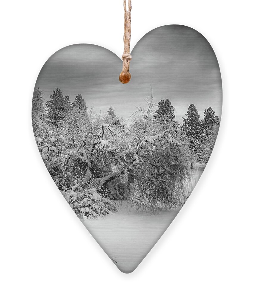 Snow On The Pond Ornament featuring the photograph Snow on the Pond #1 by David Patterson