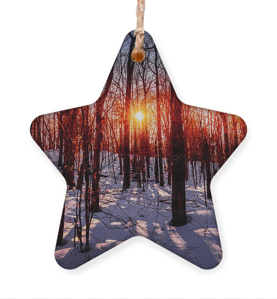 Snowy Sunset Ornament featuring the photograph Snowy Sunset #1 by David Patterson