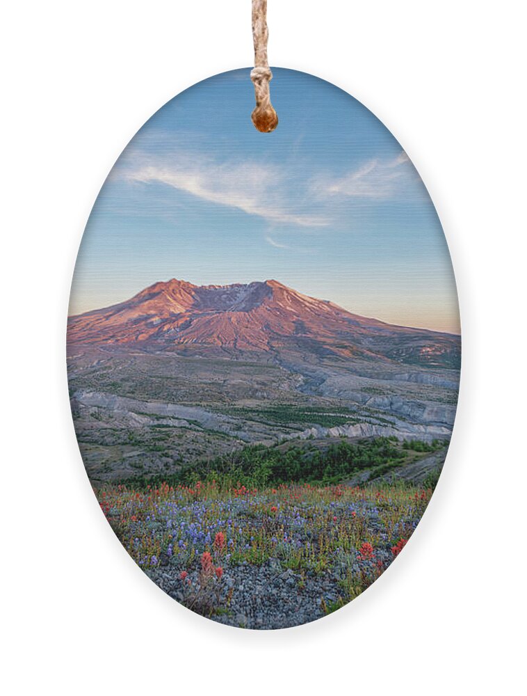 Outdoor; Hiking; Johnston Ridge; Flowers; Summer; Mountains; Craters; Mt St. Helens Ornament featuring the digital art Sunset in St. Helens #1 by Michael Lee