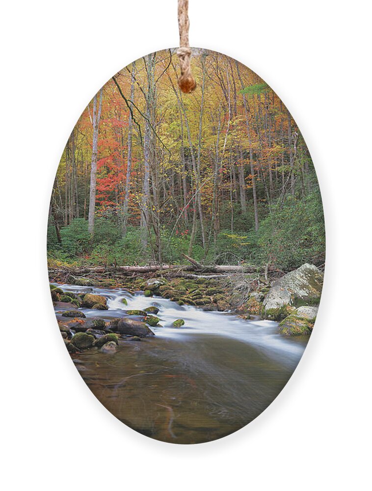Tellico River Ornament featuring the photograph Tellico Magic #1 by Rick Lipscomb
