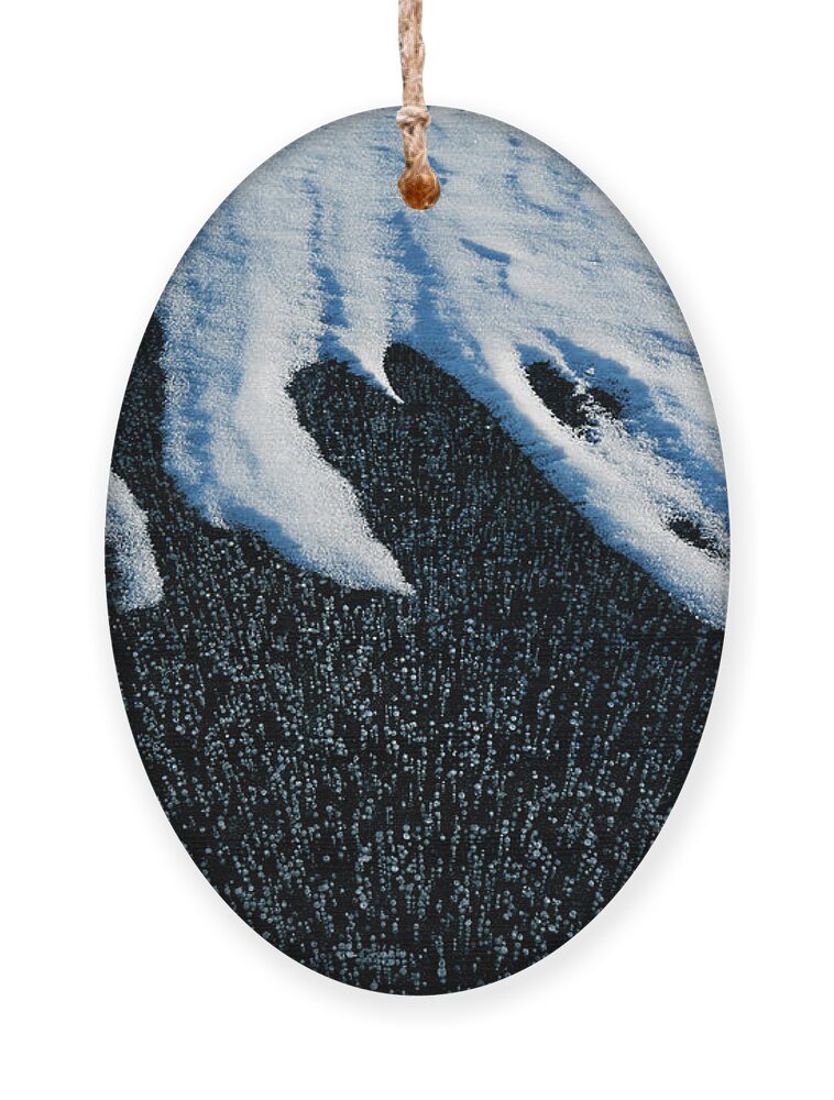 Fog Ornament featuring the photograph Texture Of Frozen Lake #1 by Julieta Belmont