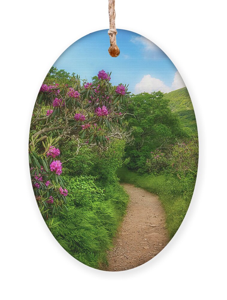 Rhododendron Ornament featuring the photograph Trail at Craggy Gardens II by Shelia Hunt