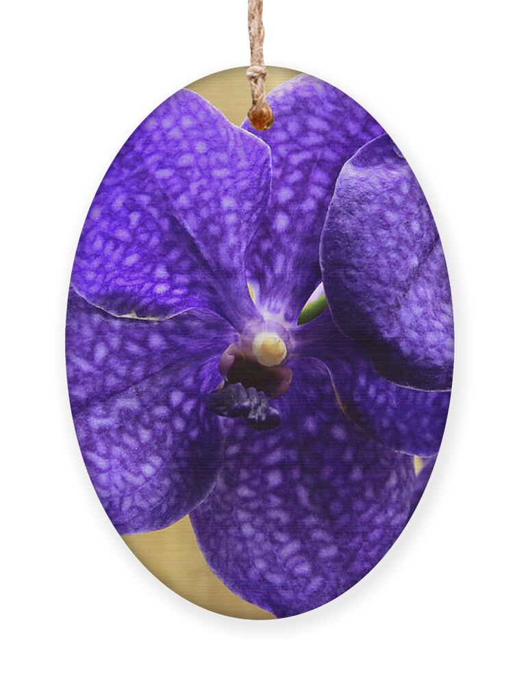 China Ornament featuring the photograph Vanda Orchid by Tanya Owens
