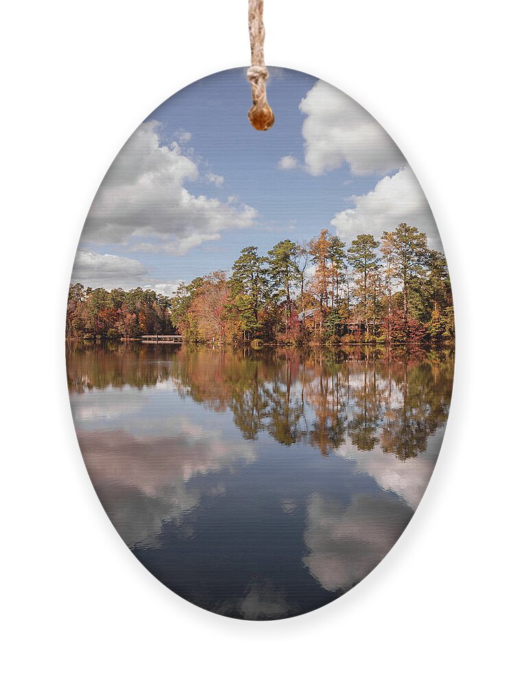 Background Ornament featuring the photograph Yates Mill Pond Reflection #1 by Rick Nelson